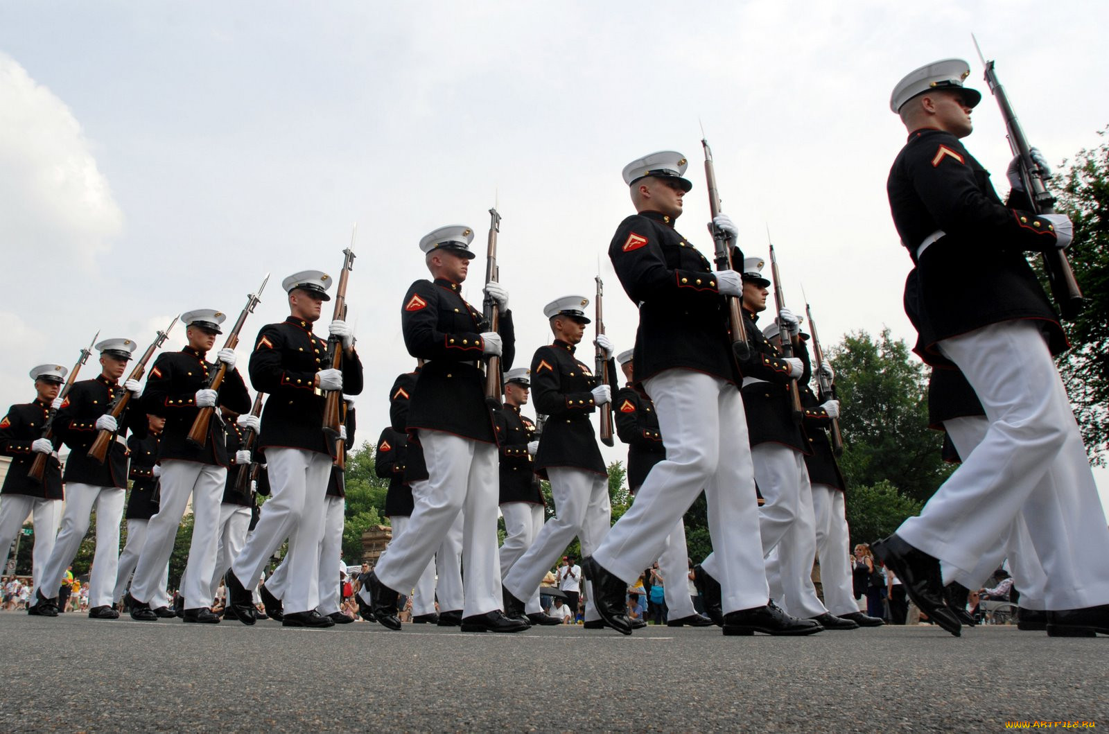 , , , military, army